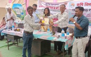 ग्राम घुपसाल में किसानों का सम्मान राजनांदगांव या मक्का फसल परिवर्तन राजनांदगांव